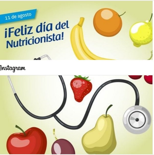 Día Internacional del Nutricionista