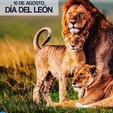 dia del leon
