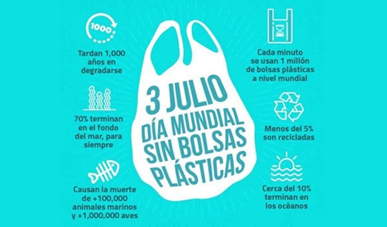 Día Internacional sin Bolsas de Plástico