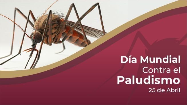 Día Mundial del Paludismo (Malaria)