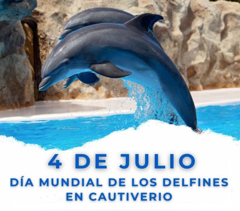 Día Mundial de los Delfines