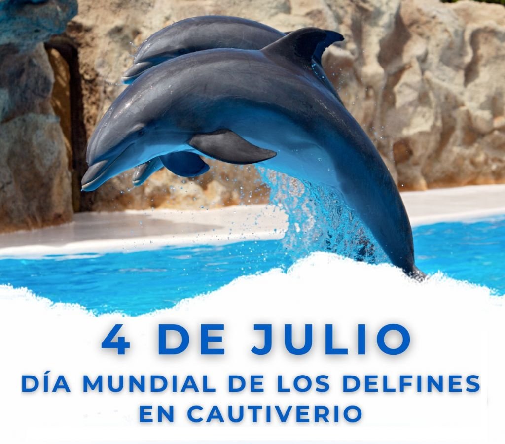 Día Mundial de los Delfines