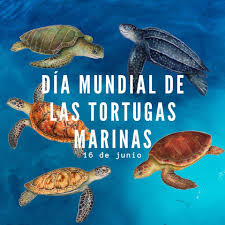 Día Mundial de las Tortugas Marinas