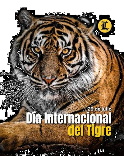 dia internacional dell tigre